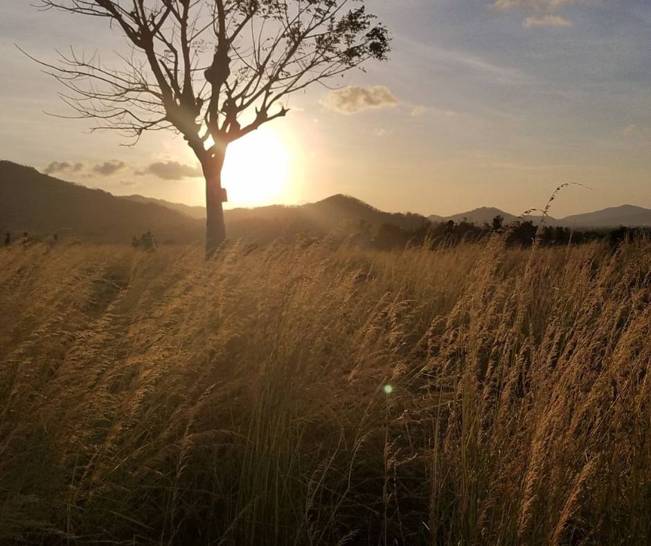 Update Wisata Ilalang, Salah Satu Wisata Baru Yang Terdapat Di Kabupaten Lombok Barat