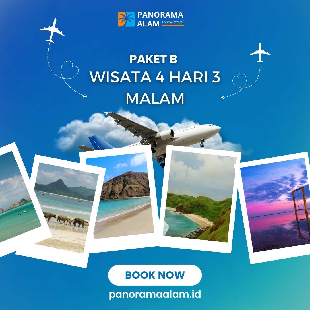 tourpackage banner