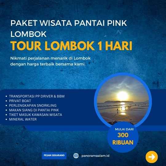 tourpackage banner