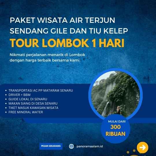 tourpackage banner