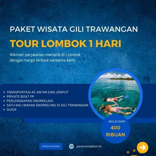 tourpackage banner
